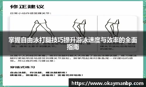 掌握自由泳打腿技巧提升游泳速度与效率的全面指南