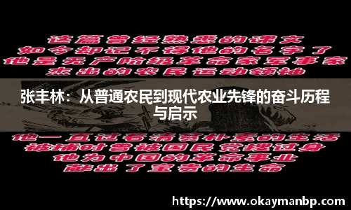 EBET易博在线